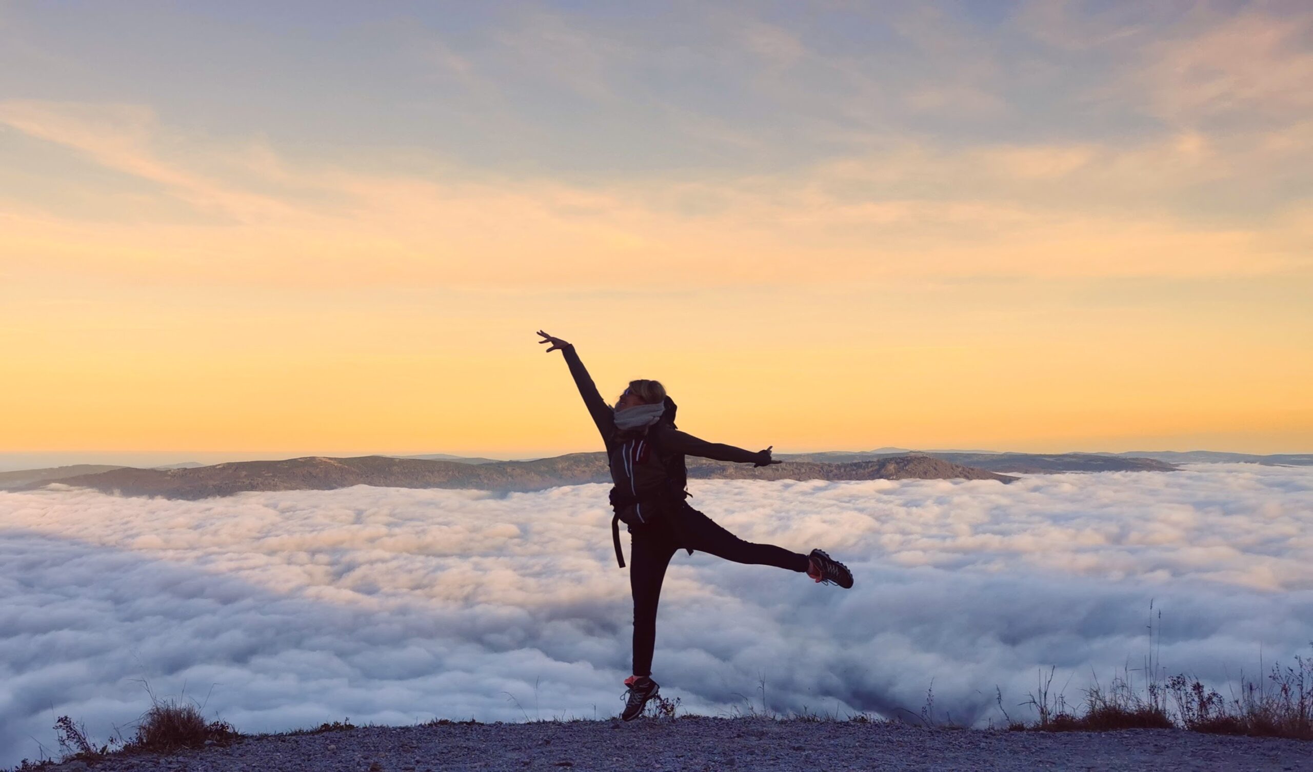 Self Flow
